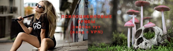 твердый Покров