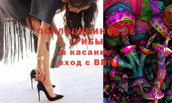дурь Алзамай