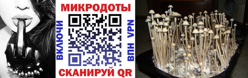Галлюциногенные грибы прущие грибы  Лодейное Поле 